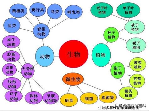 界門綱目科屬種口訣|生物分類:歷史,簡介,原核生物界,原生生物界,真菌界,植。